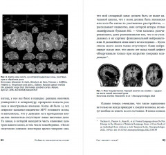Поймать вавилонскую рыбку. Человеческий мозг, нейронные сети и изучение иностранных языков - Фото 1