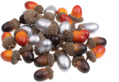 Набор «Волшебные желуди» - Фото 1