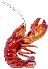 Подставка для бутылки «Омар» - Фото 3