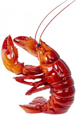 Подставка для бутылки «Омар» - Фото 6