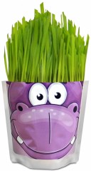 Набор для выращивания «Бегемот» - Фото 1