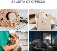 Паста успокоительная - Фото 9