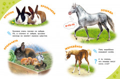 Домашние животные. Энциклопедия для самых маленьких - Фото 1