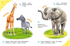 Зоопарк. Энциклопедия для самых маленьких - Фото 1