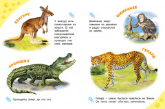 Зоопарк. Энциклопедия для самых маленьких - Фото 2