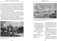 Рассказы из русской истории. Петр I. Начало. Книга 3 - Фото 6