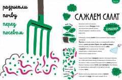 Белая книга садоводства для детей - Фото 2