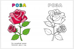 Цветы. Узнай и раскрась - Фото 1