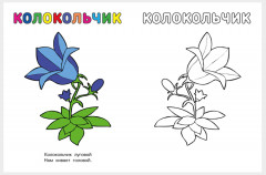 Цветы. Узнай и раскрась - Фото 2