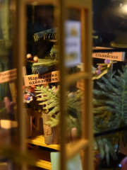 Румбокс «Зимний сад» - Фото 4