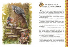 Индейские сказки - Фото 1