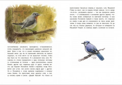 Индейские сказки - Фото 2