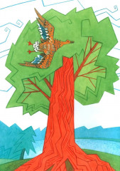 Марийские народные сказки - Фото 1