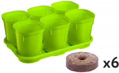 Набор для рассады с торфяными таблетками - Фото 1