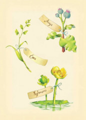 Книга цветов. Мальчик-Одуванчик - Фото 1