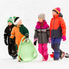 Санки-ледянки - Фото 1