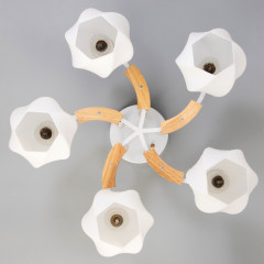 Люстра «Антер» - Фото 3