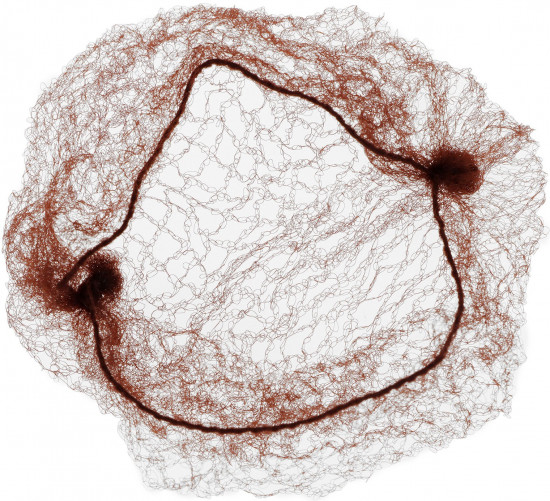 Сетка для волос «Паутинка»