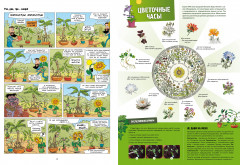 Невероятные растения. Том 1 - Фото 5