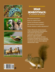 Мир животных: от актинии до ягуара - Фото 1