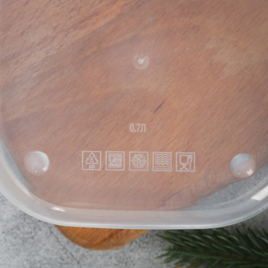 Ланч-бокс «Гранат»