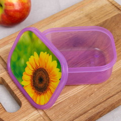 Ланч-бокс «Подсолнух» - Фото 1