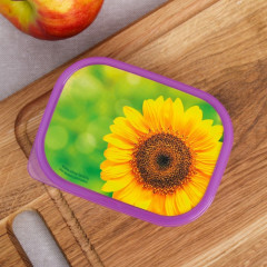 Ланч-бокс «Подсолнух» - Фото 2