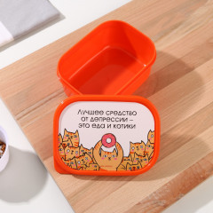 Ланч-бокс «Еда и котики» - Фото 1