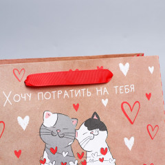 Пакет подарочный «Потрачу девять жизней» - Фото 2