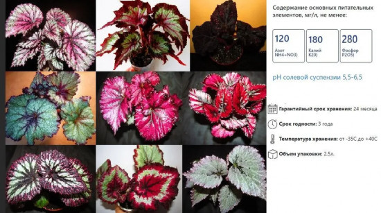 Грунт для цветов «Бегония»