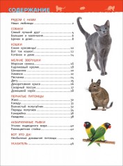 Домашние питомцы. Энциклопедия для детского сада - Фото 2