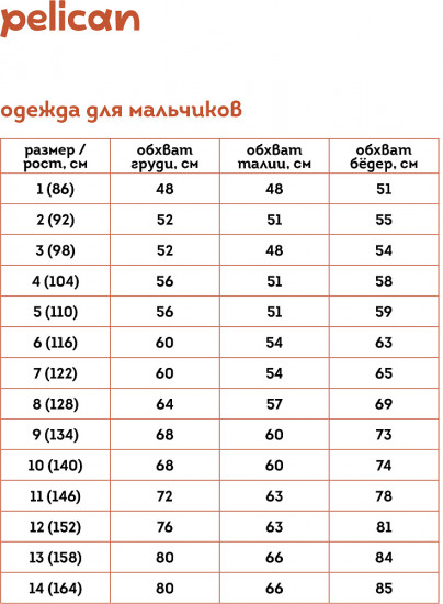Рубашка для мальчиков