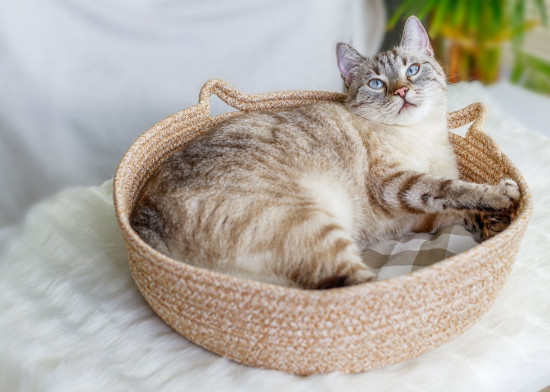 Лежанка-корзина для кошек