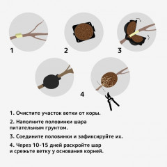 Шар для укоренения растений - Фото 4