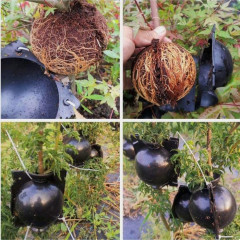 Шар для укоренения растений - Фото 6