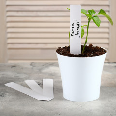 Набор табличек садовых - Фото 2