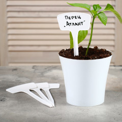 Набор табличек садовых - Фото 2