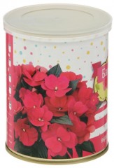 Набор для выращивания «Бальзамин» - Фото 1