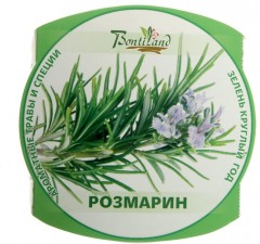 Набор для выращивания «Розмарин» - Фото 1