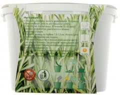 Набор для выращивания «Розмарин» - Фото 2