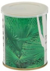 Набор для выращивания «Пальма Вашингтония» - Фото 1