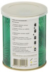 Набор для выращивания «Пальма Вашингтония» - Фото 2