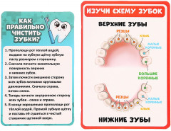 Набор игровой «Лучший доктор. Стоматолог» - Фото 10