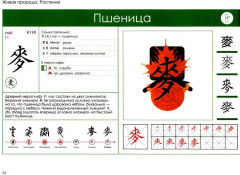 Учи ключи. Изучаем, запоминаем, пишем и играем. 214 ключей китайских иероглифов - Фото 2