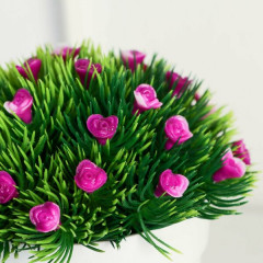 Бонсай в горшке «Розочки в траве» - Фото 1