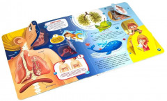 Анатомия. Умные окошки - Фото 1