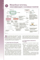Наглядная медицинская микробиология и инфекции - Фото 5