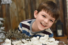 Набор для экспериментов «Раскопки ископаемых животных. Стегозавр» - Фото 7