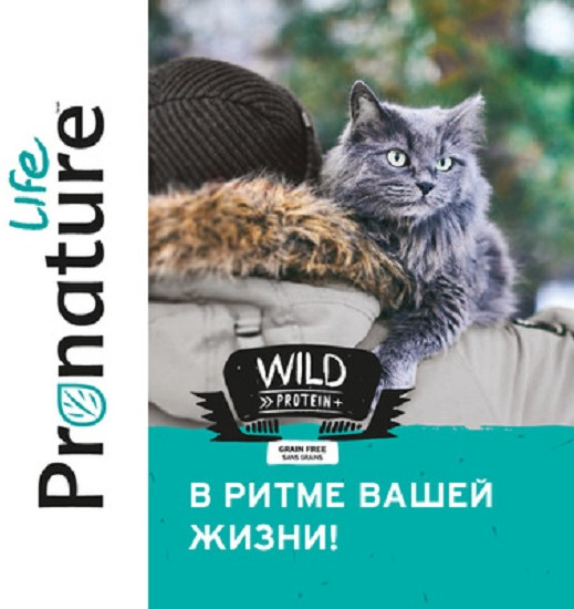 Корм для котят и кошек с высоким содержанием белка «Wild»