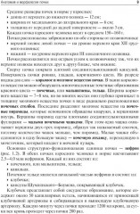 Клиническая нефрология - Фото 1